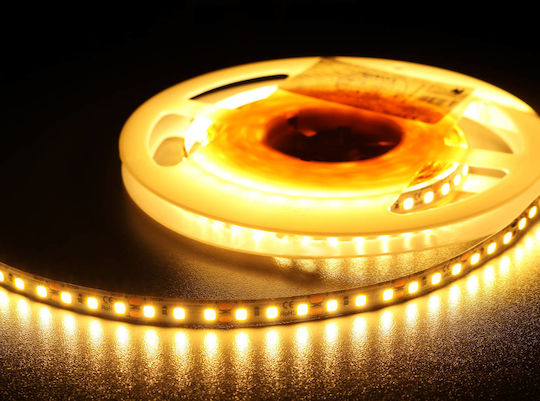 LED Strip 12V Warm White Light 5m Type SMD2835