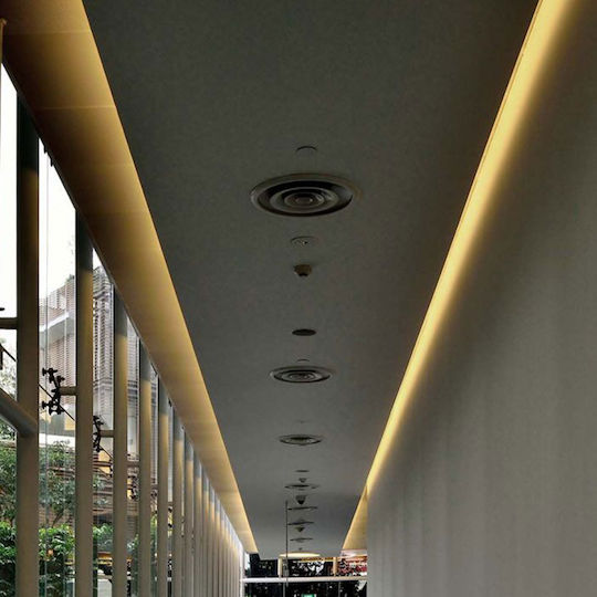 V-TAC LED Strip 24V Cold White Light 10m Type SMD2835