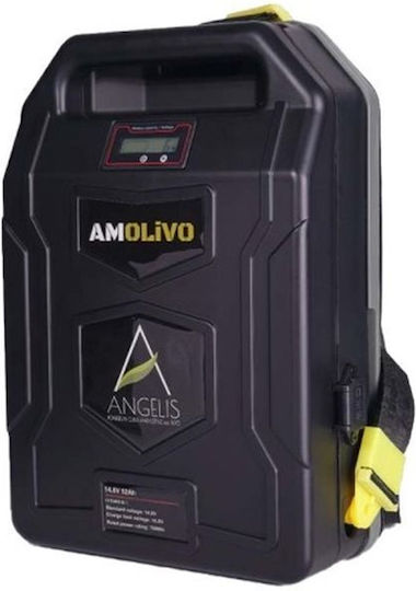 Agelis Battery Set Back Lithium Capacity 52Ah 14.8V with Charger Amolivo