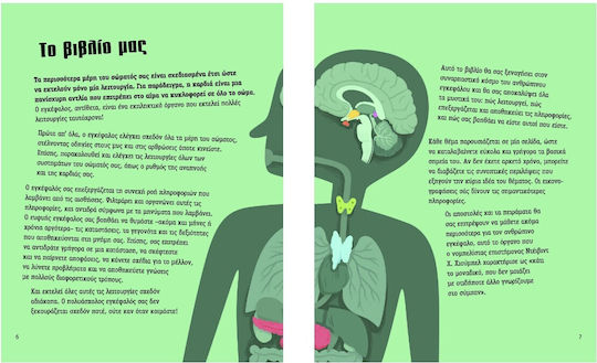 Human Brain, from Brain Functions to Artificial Intelligence