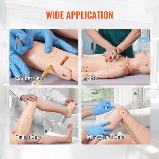 Male Manikin Vevor Nursing Training Male Female Male Life-Size Demonstration Manikin Nursing Education Multi-Function Teaching Model Training Body Care Simulator Anatomical Mannequin PVC