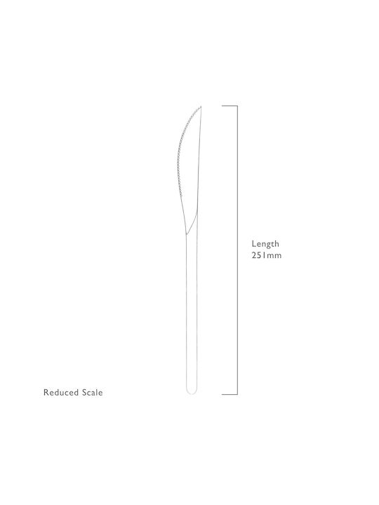 Robert Welch Knives Fillet from Stainless Steel 4pcs