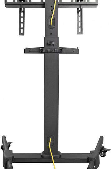 Techly ICA-TR21L Βάση Τηλεόρασης Δαπέδου έως 55" και 35kg