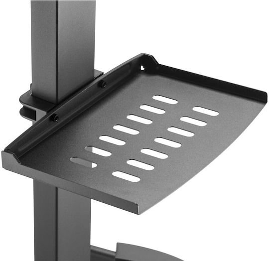 Techly ICA-TR21L Βάση Τηλεόρασης Δαπέδου έως 55" και 35kg