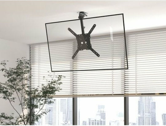Equip 650375 Wandhalterung für Fernseher bis 55" und 20kg