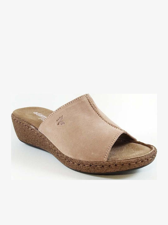 Adam's Shoes