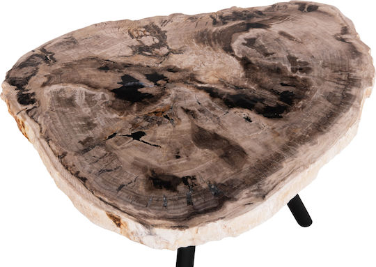Side Table Saman Made of Solid Wood Black 70x55x40cm