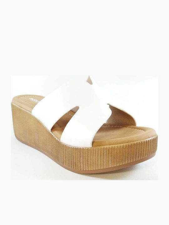 Adam's Shoes