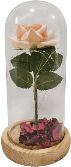 Zhtrade Φωτιστικό LED Forever Rose
