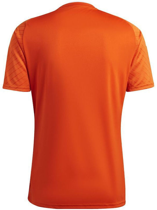 Campeon 23 Jersey Jersey Aussehen Fußball