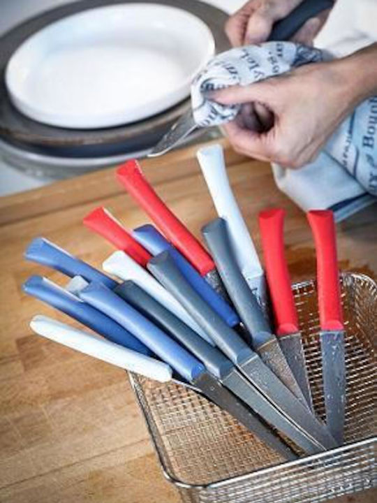Opinel Μαχαίρια Steak από Ανοξείδωτο Ατσάλι 10.16cm 4τμχ