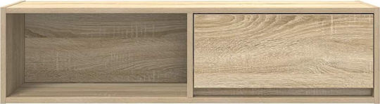 TV Stand Brown 100x31x25.5cm