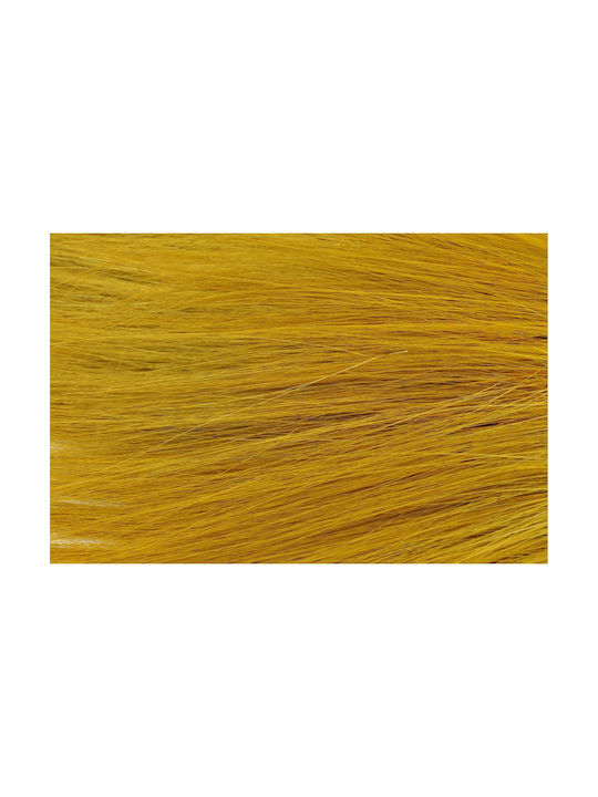 Konservierte Blumen Barba Gelb 100g H:50-60 cm