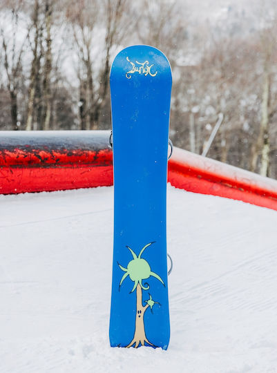 Burton Blossom Men's Snowboard