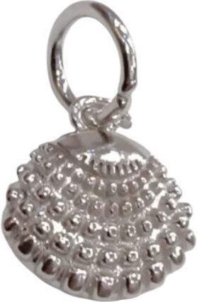 Kalliopisilver Silber 925 Symbolanhänger Geprägte Muschel D103