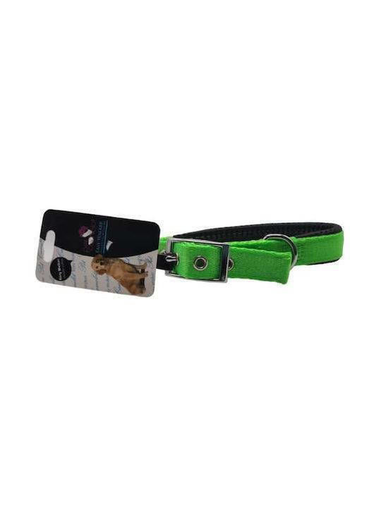 Pet Camelot Περιλαίμιο Ανατομική Επένδυση 25mmx55cm Λαχανι Pet Camelot Περιλαίμιο Ανατομική Επένδυση 25mmx55cm Λαχανι