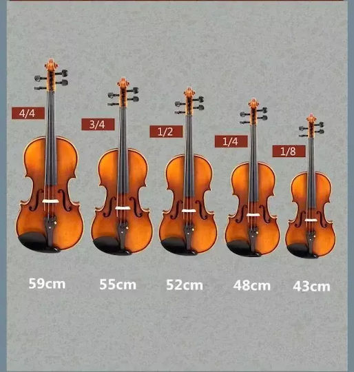 4/4 Vioară