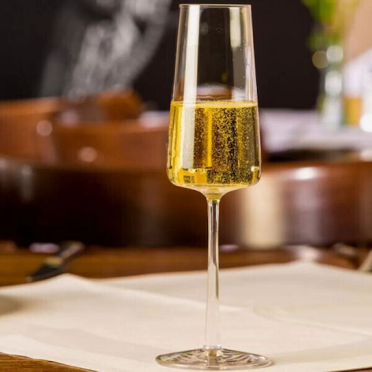 Stolzle Lausitz Set Brillen Champagner Kelch Kristall 240ml 6 Stück