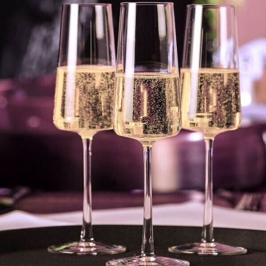 Stolzle Lausitz Set Brillen Champagner Kelch Kristall 240ml 6 Stück