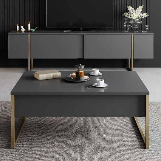 Rectangular Central Coffee Table Luxe Wooden Anthracite Gold M90xW60xH40cm