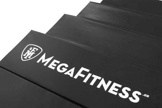 Megafitness Handwalking Ladder