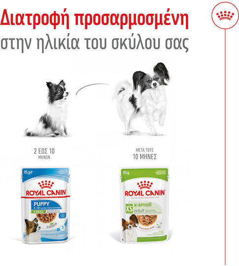 Royal Canin Wet Food Dogs in Pouches with Meat 85gr