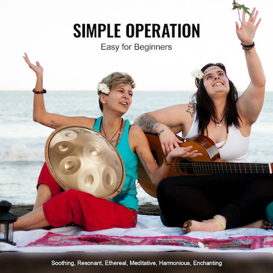 Vevor Handpan 10 Notes in Scale D Minor