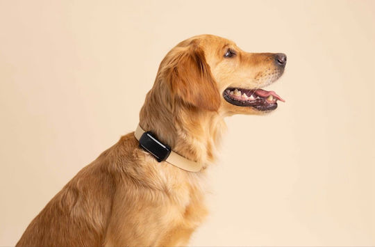 Tractive Ηλεκτρικό Κολάρο GPS Σκύλου Black