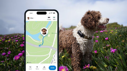 Tractive Ηλεκτρικό Κολάρο GPS Σκύλου Black
