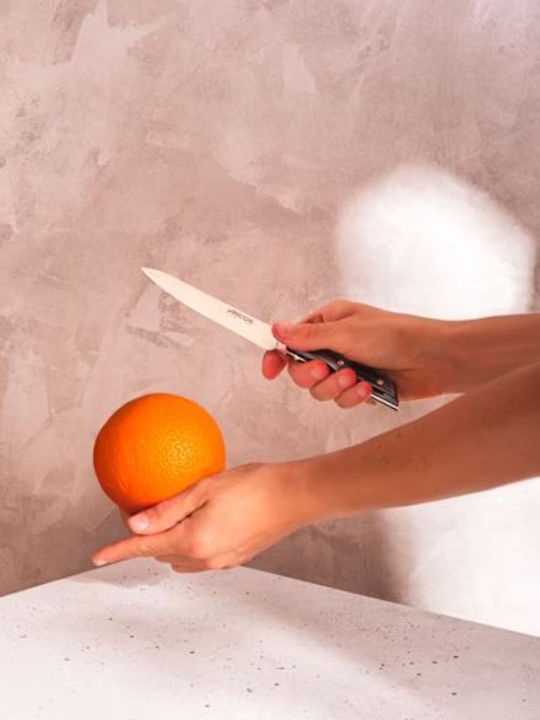 Arcos Messer Peeling aus rostfreiem Stahl 10cm