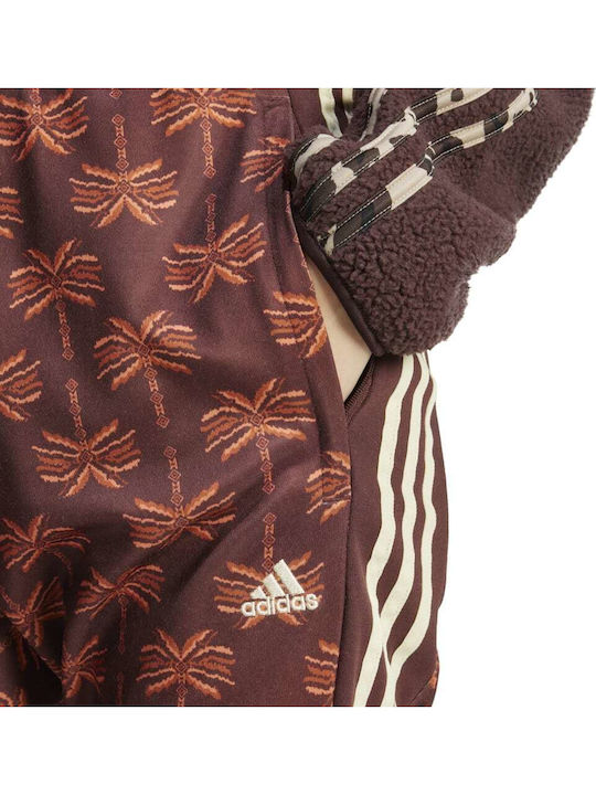 Farm Rio Damen Jogginghose mit Jogger Braun