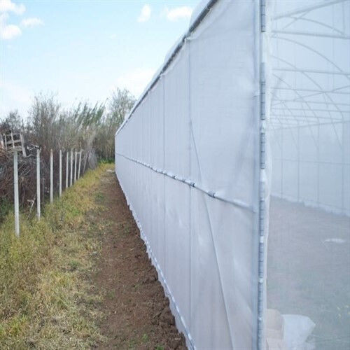 Εντομοστεγές Δίχτυ Σκίασης Διάφανο 2m 110gr/m²
