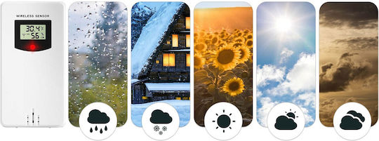 Berdsen BD-920 Wireless Stație meteorologică Digital Montat pe perete Alb