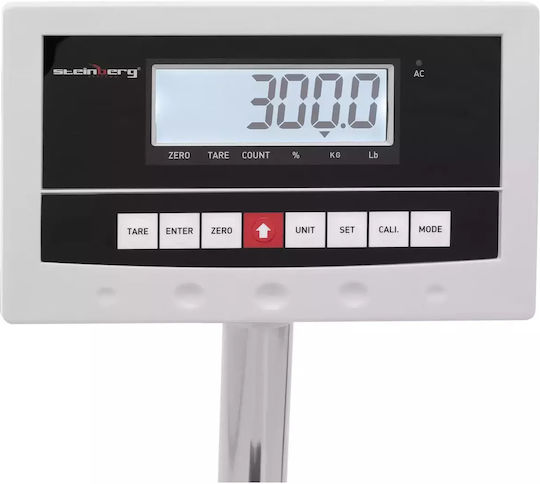 Steinberg Systems Balkenwaage mit Säule mit einer Wiegekapazität von 300kg