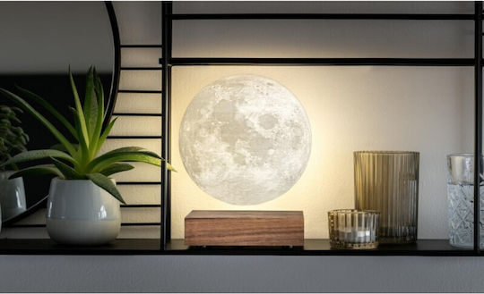 Gingko Φωτιστικό Smart LED Θερμό Λευκό 3D Illusion Gingko Φωτιστικό Smart LED Θερμό Λευκό 3D Illusion