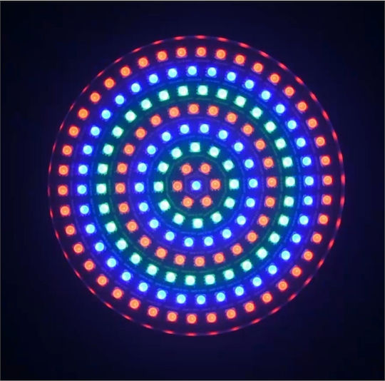 Ibiza Sound Projector LED PAR DMX RGB