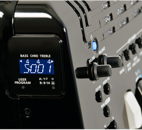 Roland Акордеон 120 Бас