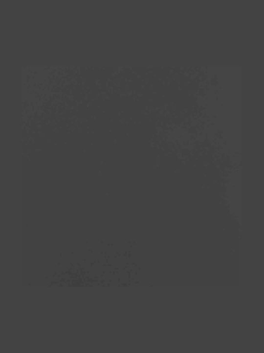 vidaXL Inox Ράφι Αποθήκευσης Ξύλων 100x25x100cm Μαύρο