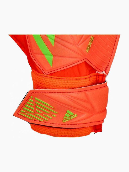 adidas PRED GL TRN Torwarthandschuhe Erwachsene Rot