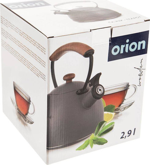 Orion Τσαγιέρα Ανοξείδωτη Γκρι 3000ml