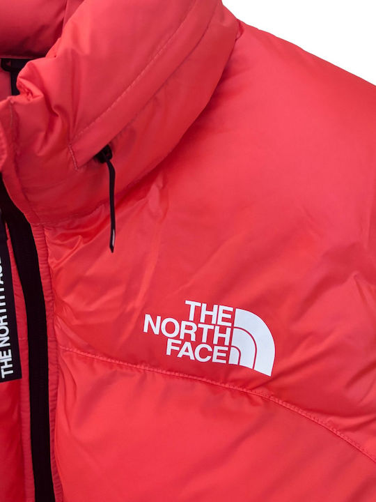 The North Face Jacket Puffer Orange