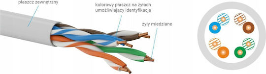 Q-Lantec U/UTP Cat.5e (Gigabit) Мрежов Кабел Ethernet 100м Черен