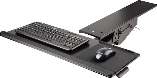StarTech Ράφι 65030889889 1τμχ