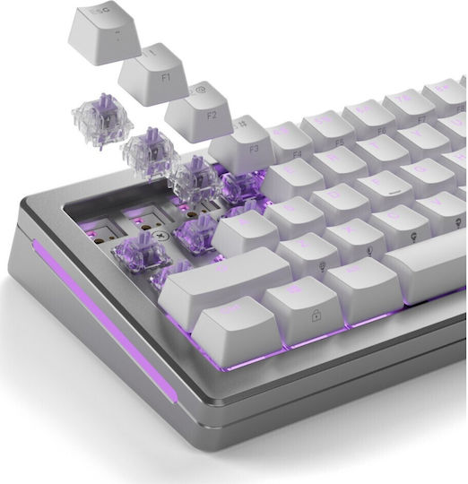 Glorious Keyboard Switch