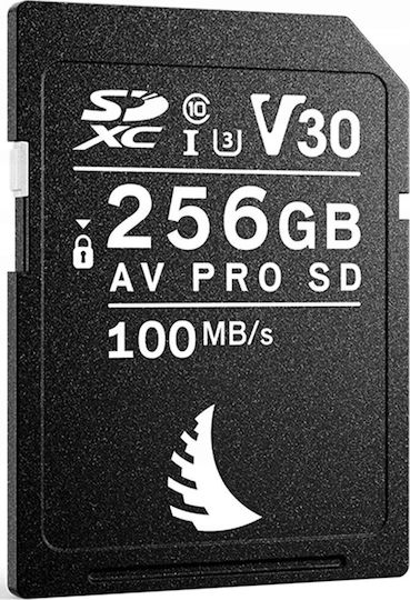 Angelbird Av Pro SDHC 256GB U3 V30 UHS-I 90MB/s
