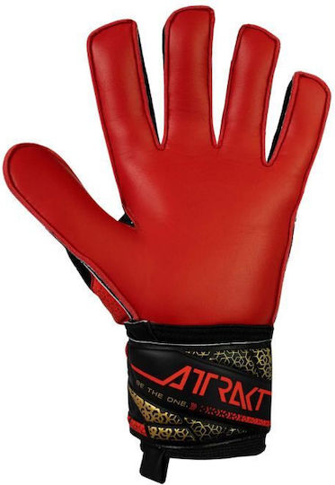 Reusch Attrakt Solid Adults Goalkeeper Gloves Black