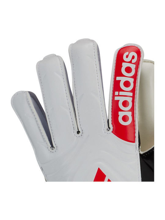 adidas Copa Gl Clb Kids & Adults Goalkeeper Gloves White