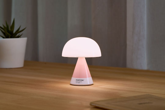 Lexon Decorative Lamp Pink Lexon Decorative Lamp Pink