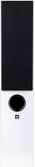 Wilson Audio Raptor Hi-Fi Lautsprecher Boden 150W 2 Anzahl von Fahrern B17xT26.3xH83.9cm. Weiß