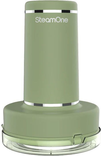 Lint Remover Steamone Sage